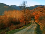 Camino a casa. Noceda del Bierzo, Le�n